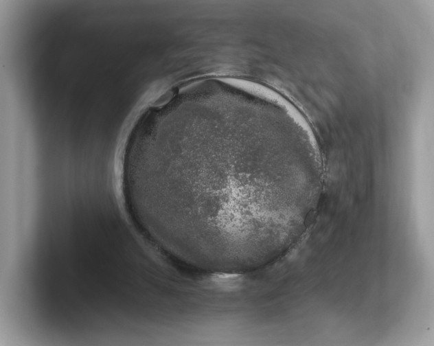 X0000101410055200807211104