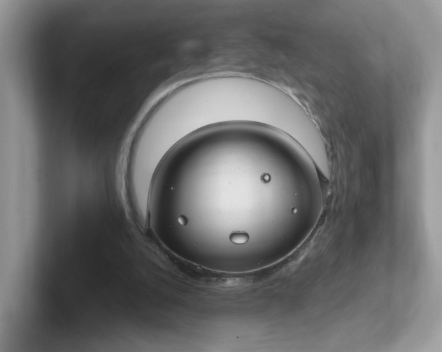 X0000101410056200807211104