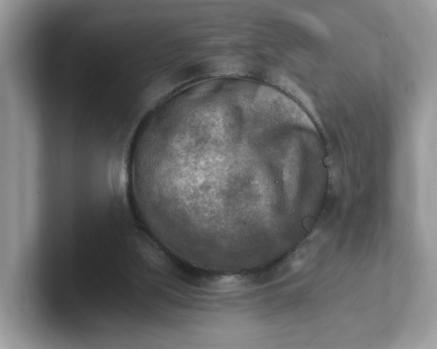 X0000101410059200807211104