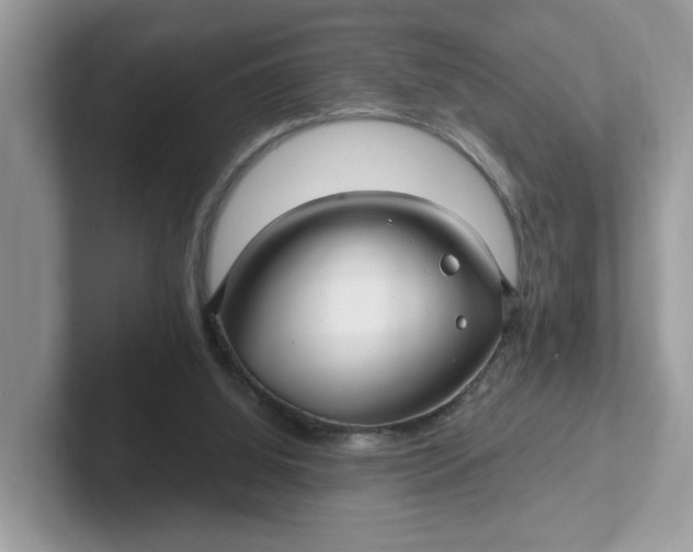 X0000101410060200807211104