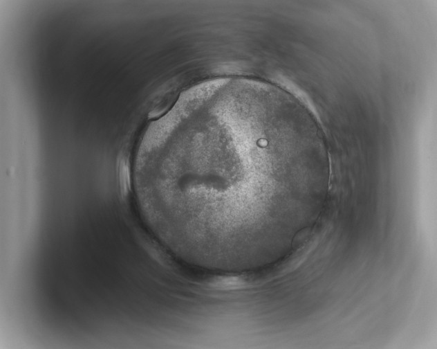 X0000101410061200807211104