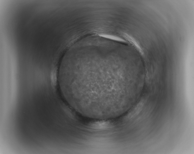 X0000101410065200807211104