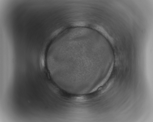 X0000101410068200807211104