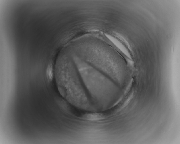 X0000101410069200807211104