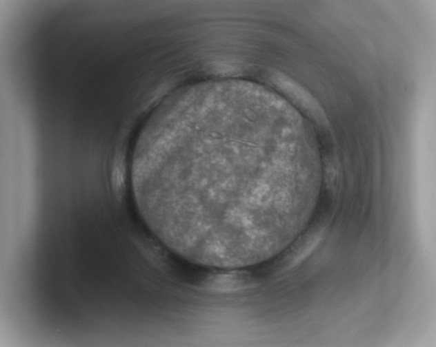 X0000101410072200807211104