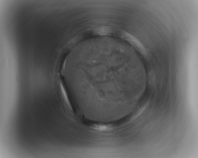 X0000101410073200807211104