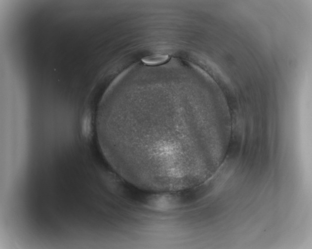 X0000101410074200807211104