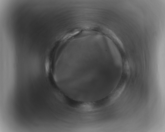 X0000101410076200807211104