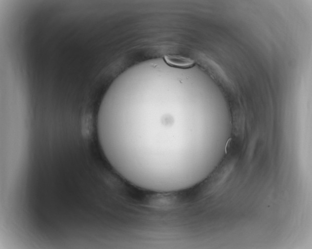 X0000101410077200807211104