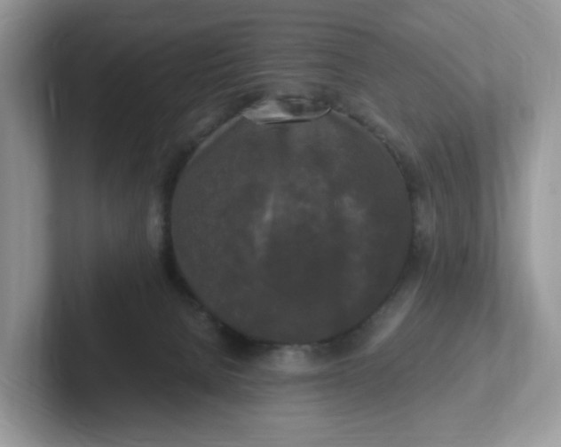 X0000101410080200807211104