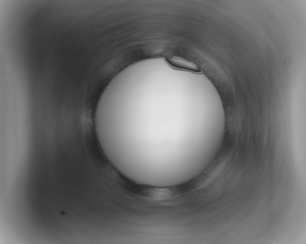 X0000101410085200807211104