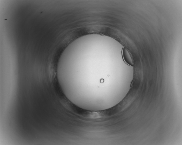 X0000101410091200807211105