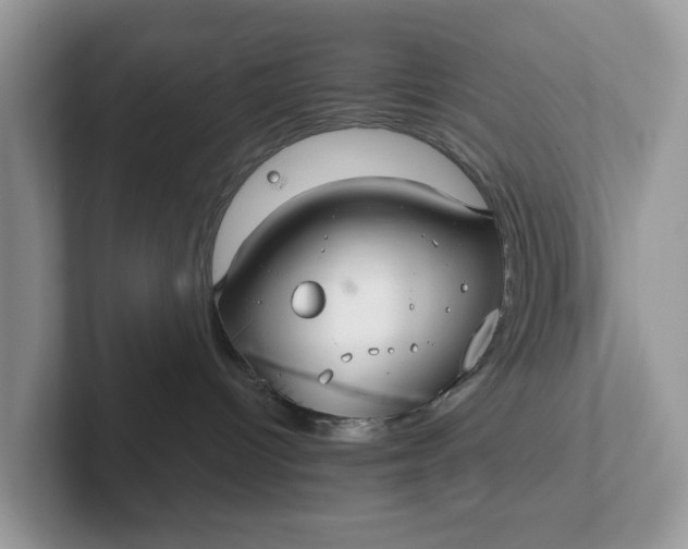 X0000101410096200807211105