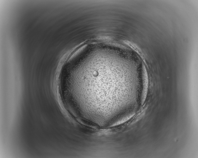 X0000101410097200807211104