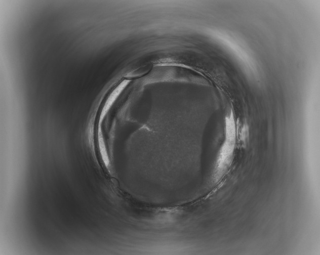 X0000101410099200807211104