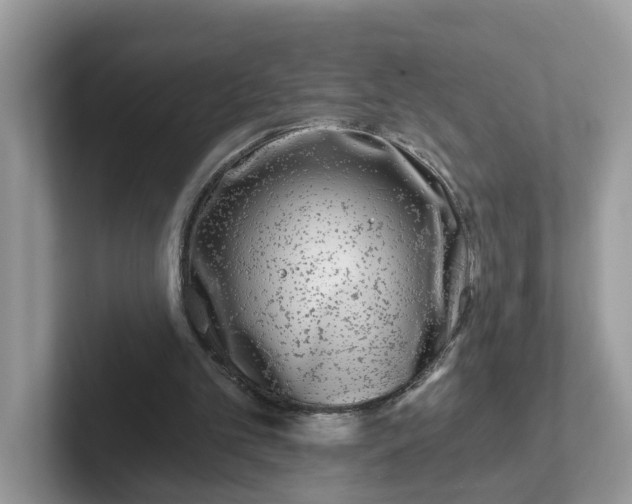 X0000101410101200807211104