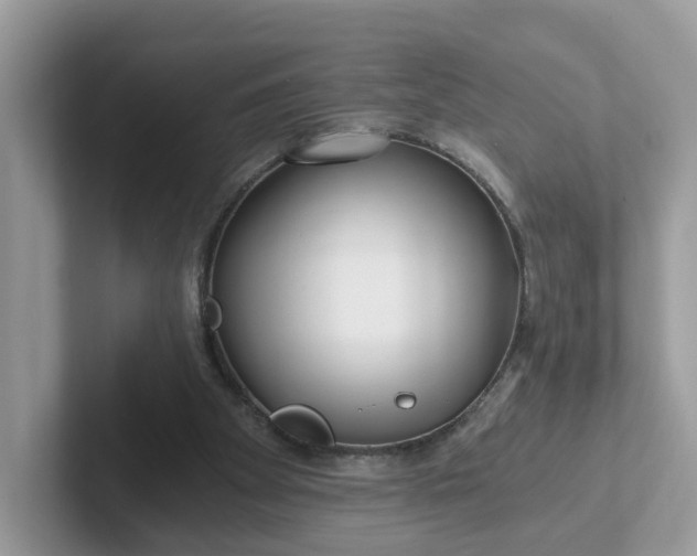 X0000101410105200807211104