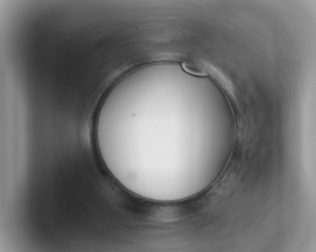 X0000101410107200807211104