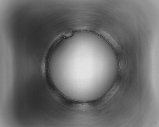 X0000101410112200807211104