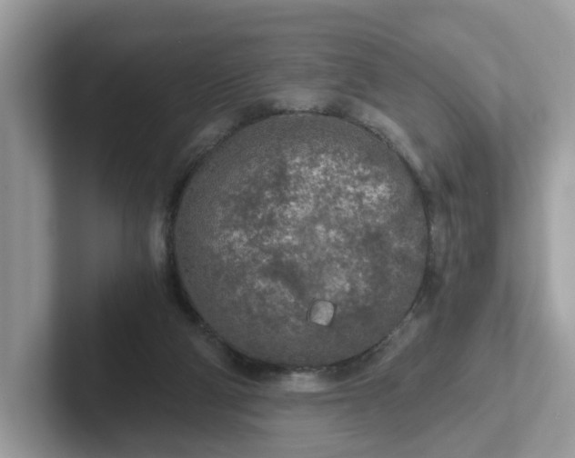 X0000101410114200807211104