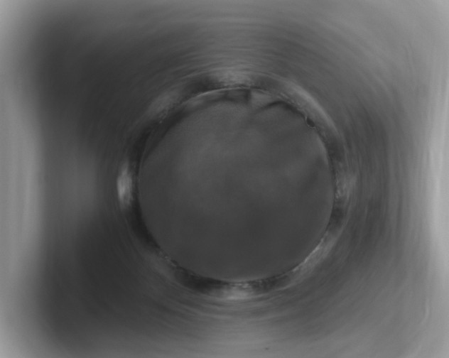 X0000101410124200807211104