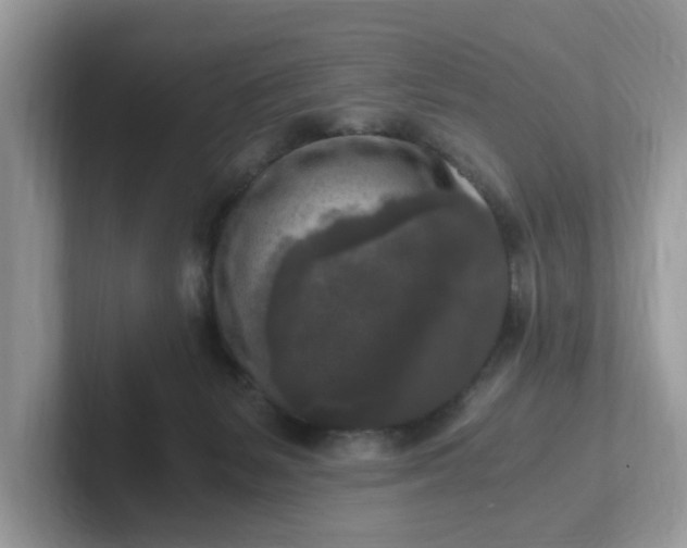 X0000101410127200807211103