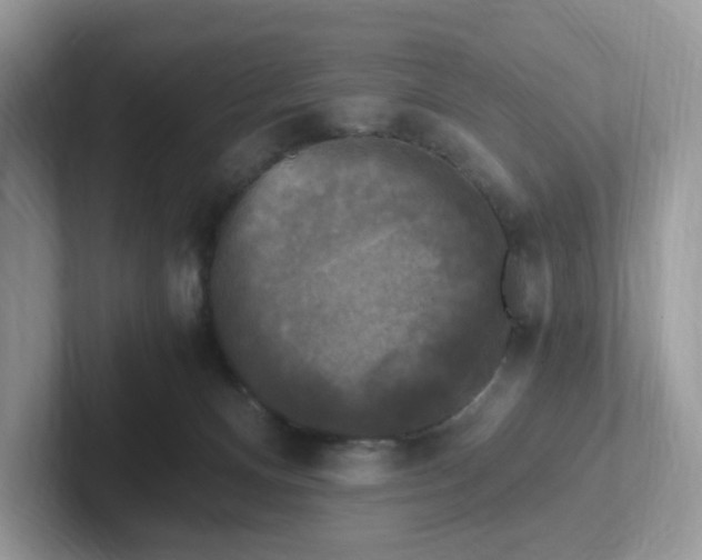 X0000101410128200807211103