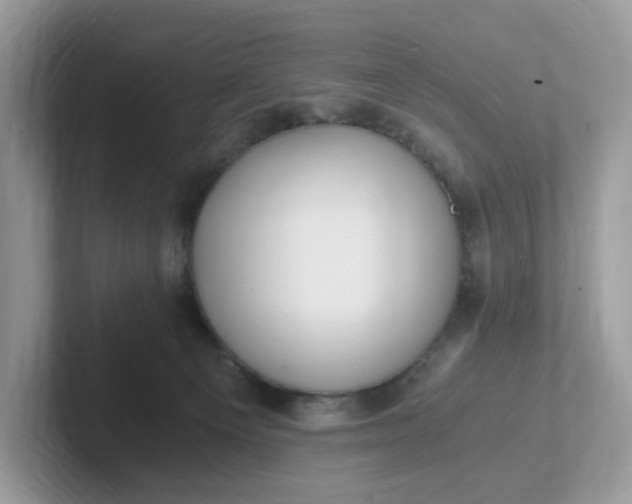 X0000101410129200807211103