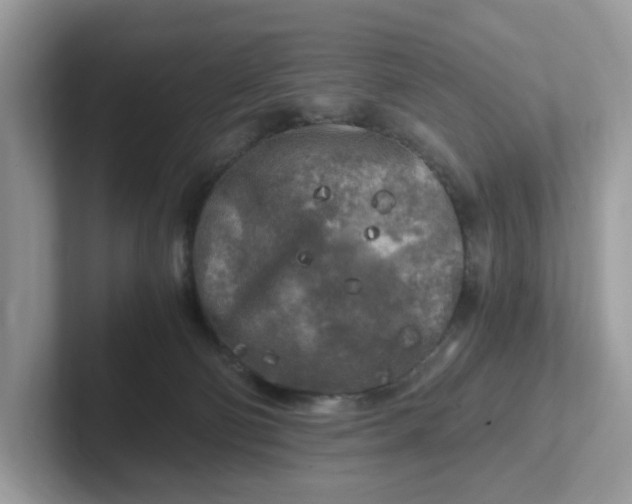 X0000101410130200807211103