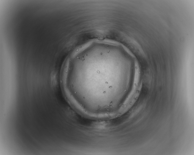 X0000101410131200807211103