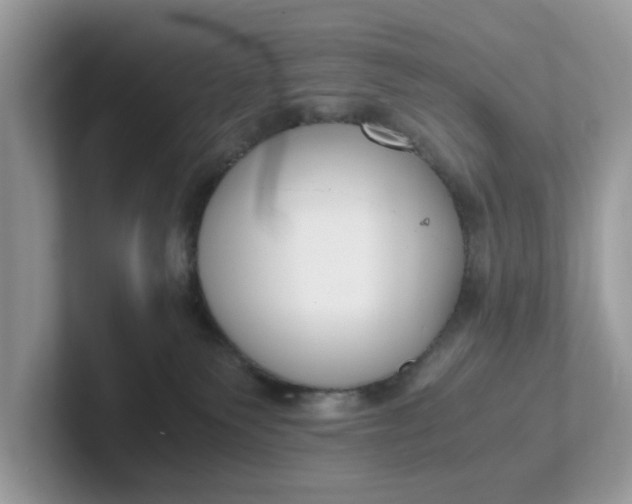 X0000101410135200807211103