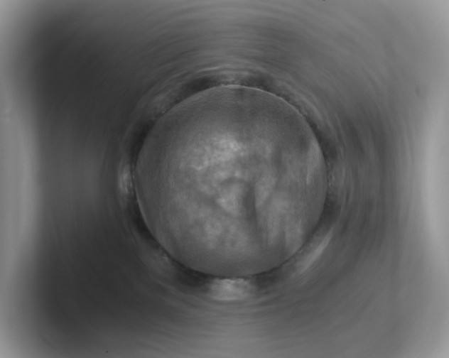 X0000101410137200807211103