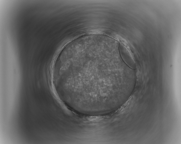 X0000101410145200807211103