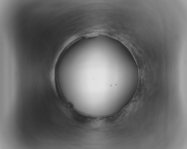 X0000101410148200807211103