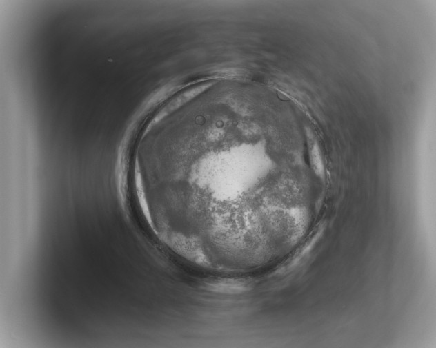 X0000101410149200807211103