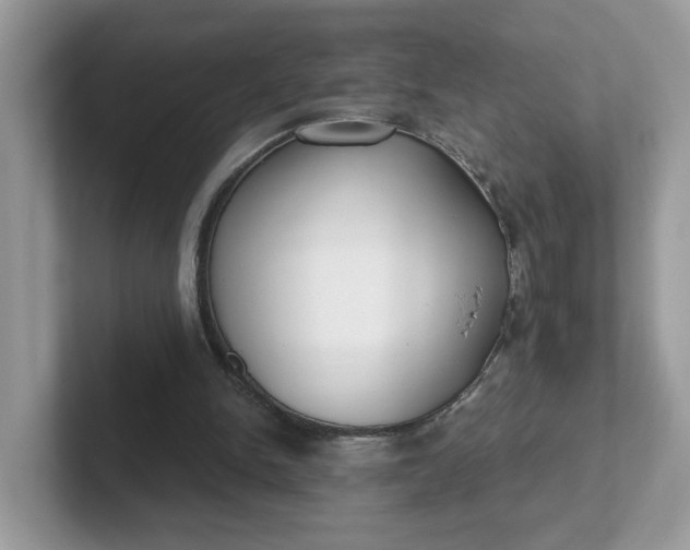 X0000101410150200807211103