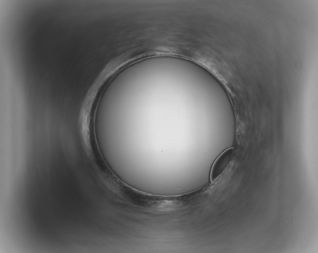 X0000101410151200807211103