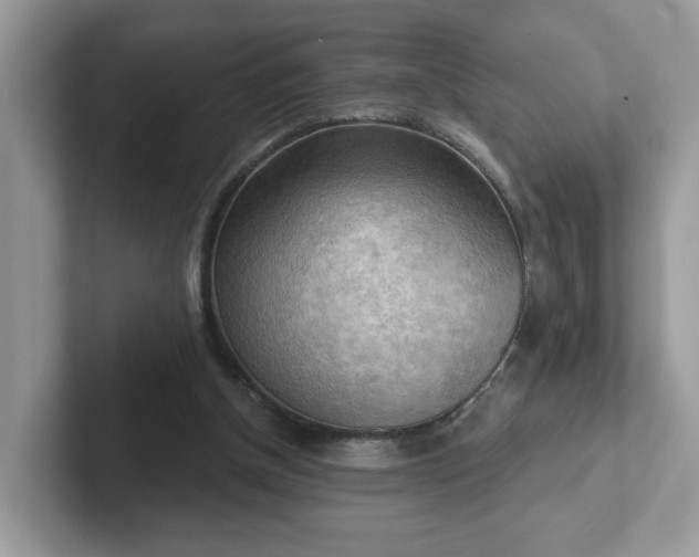 X0000101410154200807211103