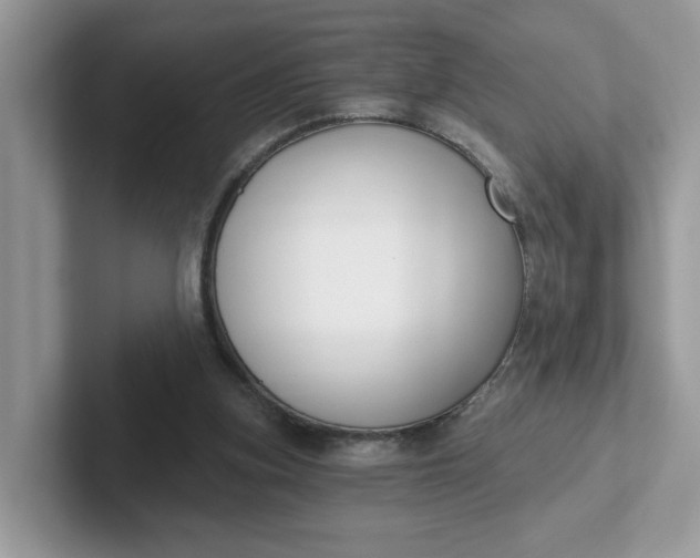 X0000101410155200807211103