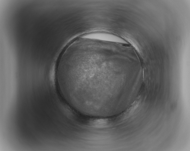 X0000101410156200807211103