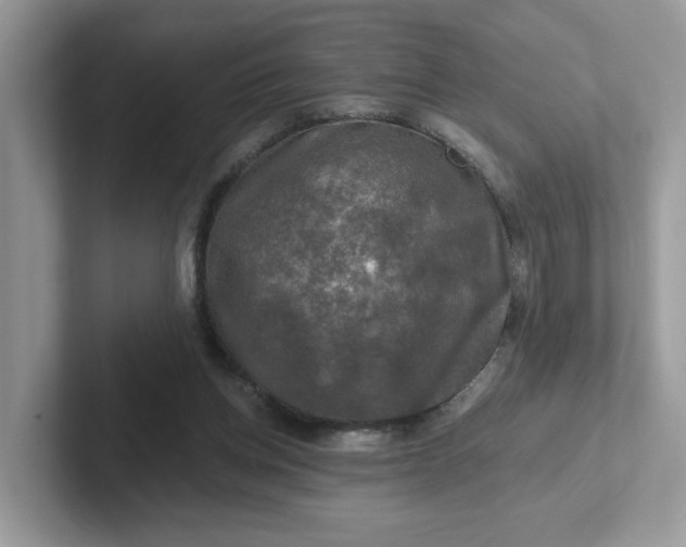 X0000101410158200807211103