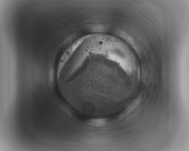 X0000101410161200807211103