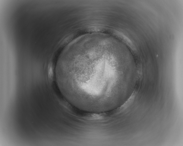 X0000101410166200807211103