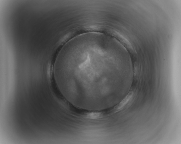 X0000101410168200807211103