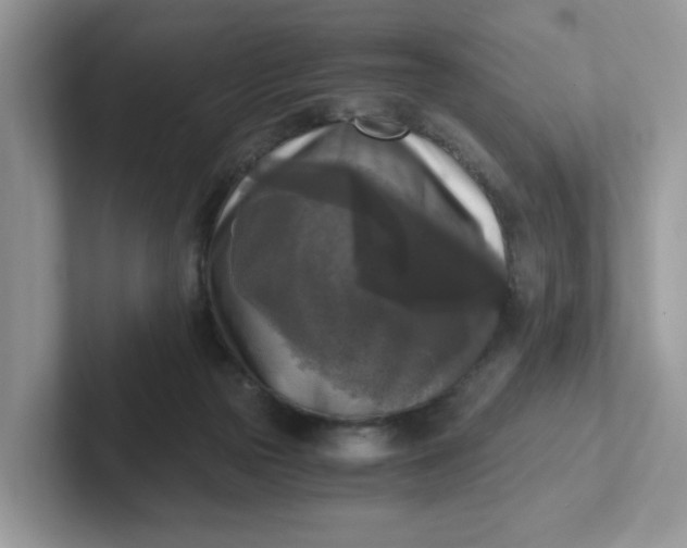 X0000101410169200807211103