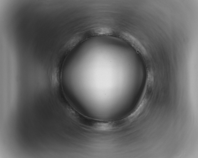 X0000101410170200807211103