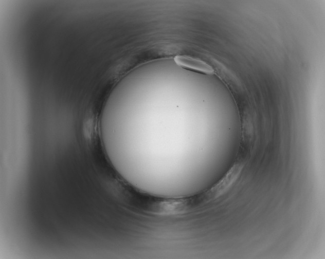 X0000101410172200807211103