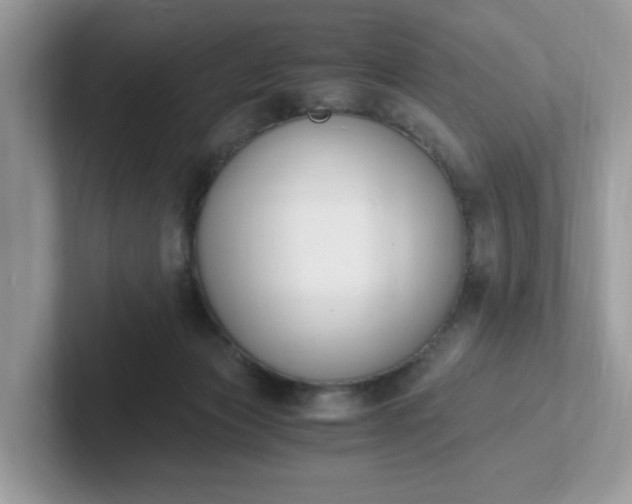 X0000101410173200807211103