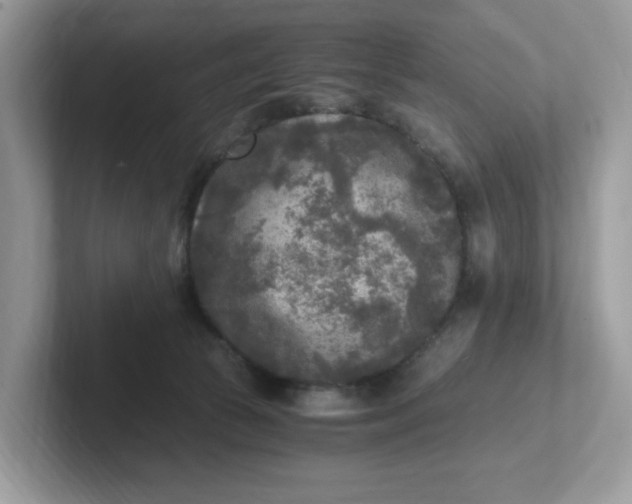 X0000101410177200807211103