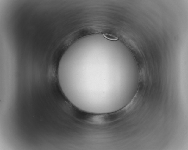 X0000101410178200807211103